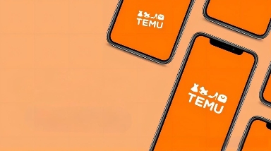 详细介绍一下TEMU运营半托管的退货方式(图2) Temu运营半托管