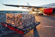 国际空运货物的唛头如何标注？必填信息有哪些？（国际空运干货知识分享）