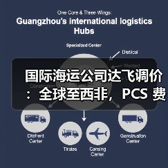 国际海运公司达飞调价：全球至西非，PCS 费用有变（货主货代请注意）（图2）