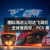 国际海运公司达飞调价：全球至西非，PCS 费用有变（货主货代请注意）（图4）
