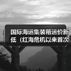 国际海运集装箱运价新低（红海危机以来首次）（图4）