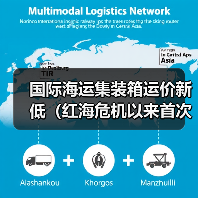 国际海运集装箱运价新低（红海危机以来首次）（图3）