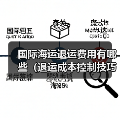 国际海运退运费用有哪些（退运成本控制技巧）（图2）