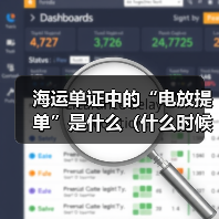 海运单证中的“电放提单”是什么（什么时候需要用电放）（图3）