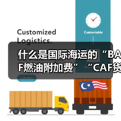 什么是国际海运的“BAF燃油附加费”“CAF货币贬值附加费”(国际海运干货知识分享)(图3) 什么是国际海运的“BAF燃油附加费”“CAF货币贬值附加费”(国际海运干货知识分享)(图3)