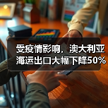 受疫情影响，澳大利亚海运出口大幅下降50%（图2）