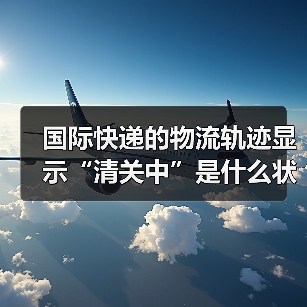 国际快递的物流轨迹显示“清关中”是什么状态（需要等待多久）（图4）
