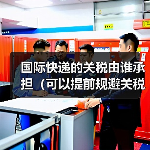 国际快递的关税由谁承担(可以提前规避关税吗)(图4) 国际快递的关税由谁承担(可以提前规避关税吗)(图4)
