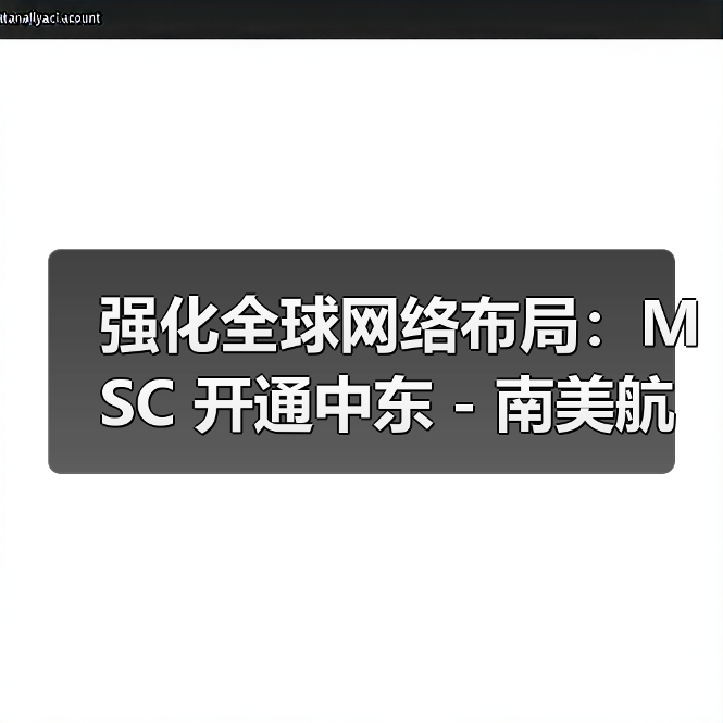 强化全球网络布局：MSC 开通中东 - 南美航线（借中国国际海运港口辐射亚洲市场）（图4）
