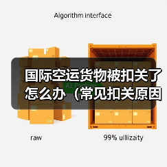 国际空运货物被扣关了怎么办（常见扣关原因解析）（图4）
