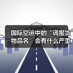 国际空运中的“谎报货物品名”会有什么严重后果（跨境电商卖家请注意）（图4）