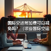 国际空运附加费可以减免吗？（哪些国际空运附加费是必须的）（图2）