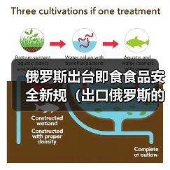俄罗斯出台即食食品安全新规（出口俄罗斯的跨境电商卖家请注意）（图2）