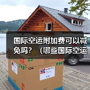 国际空运附加费可以减免吗？（哪些国际空运附加费是必须的）（图4）