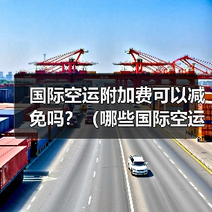国际空运附加费可以减免吗？（哪些国际空运附加费是必须的）（图3）