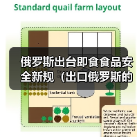 俄罗斯出台即食食品安全新规（出口俄罗斯的跨境电商卖家请注意）（图3）