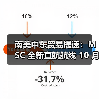 南美中东贸易提速：MSC 全新直航航线 10 月正式开通（图3）