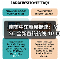 南美中东贸易提速：MSC 全新直航航线 10 月正式开通（图2）