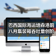 巴西国际海运培森港前八月集装箱吞吐量创阶段性新高（新航线驱动增长）（图4）