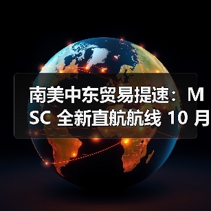 南美中东贸易提速：MSC 全新直航航线 10 月正式开通（图4）