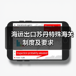 海运出口苏丹特殊海关制度及要求（图4）