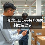 海运出口苏丹特殊海关制度及要求（图3）