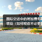 国际空运中的附加费有哪些（如何规避不必要的费用）（图3）
