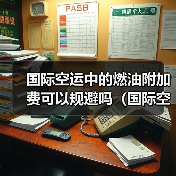 国际空运中的燃油附加费可以规避吗(国际空运干货知识分享)(图3) 国际空运中的燃油附加费可以规避吗(国际空运干货知识分享)(图3)