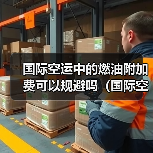国际空运中的燃油附加费可以规避吗(国际空运干货知识分享)(图2) 国际空运中的燃油附加费可以规避吗(国际空运干货知识分享)(图2)