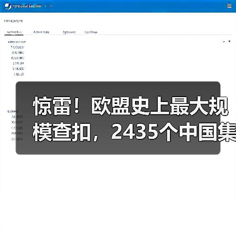 惊雷！欧盟史上最大规模查扣，2435个中国集装箱被封！（图4）