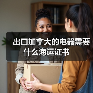 出口加拿大的电器需要什么海运证书（图3）