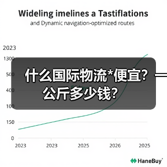 什么国际物流*便宜？一公斤多少钱？（图3）