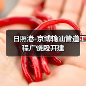 日照港-京博输油管道工程广饶段开建（图2）