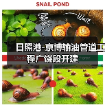 日照港-京博输油管道工程广饶段开建（图4）
