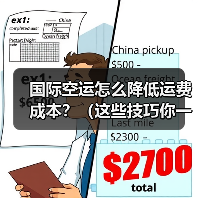 国际空运怎么降低运费成本?(这些技巧你一定要知道)(图4) 国际空运怎么降低运费成本?(这些技巧你一定要知道)(图4)