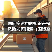 国际空运中的知识产权风险如何规避(国际空运干货知识分享)(图3) 国际空运中的知识产权风险如何规避(国际空运干货知识分享)(图3)
