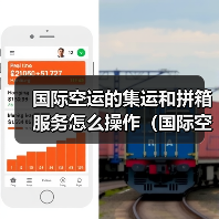 国际空运的集运和拼箱服务怎么操作(国际空运干货知识分享)(图3) 国际空运的集运和拼箱服务怎么操作(国际空运干货知识分享)(图3)