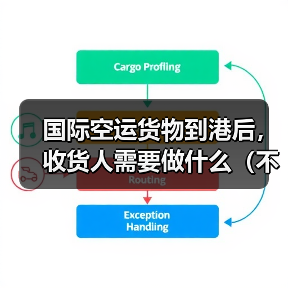国际空运货物到港后,收货人需要做什么(不清楚的外贸人看过来)(图4) 国际空运货物到港后,收货人需要做什么(不清楚的外贸人看过来)(图4)