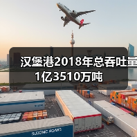 汉堡港2018年总吞吐量1亿3510万吨（图4）