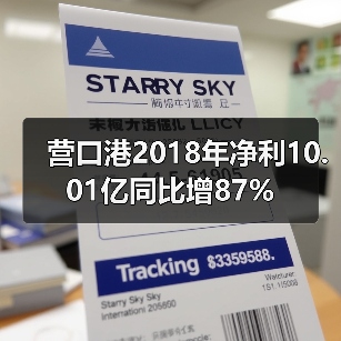 营口港2018年净利10.01亿同比增87%（图1）