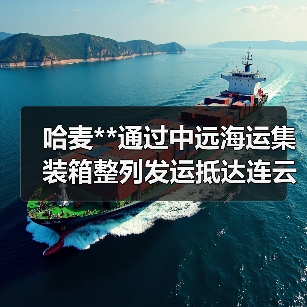 哈麦**通过中远海运集装箱整列发运抵达连云港（图2）