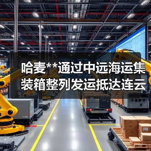 哈麦**通过中远海运集装箱整列发运抵达连云港（图4）