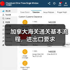 加拿大海关通关基本流程，进出口要求（图3）