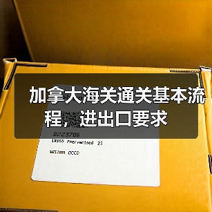 加拿大海关通关基本流程，进出口要求（图1）