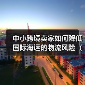 中小跨境卖家如何降低国际海运的物流风险（国际物流干货知识分享）