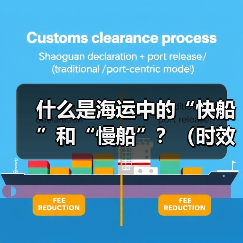 什么是海运中的“快船”和“慢船”?(时效和成本差异多大)(图2) 什么是海运中的“快船”和“慢船”?(时效和成本差异多大)(图2)