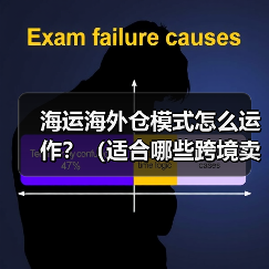 海运海外仓模式怎么运作？（适合哪些跨境卖家）（图2）