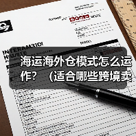 海运海外仓模式怎么运作？（适合哪些跨境卖家）（图4）