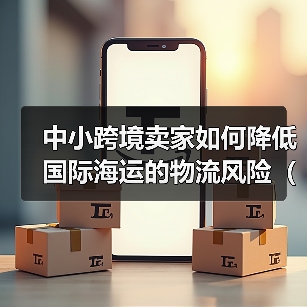 中小跨境卖家如何降低国际海运的物流风险(国际物流干货知识分享)(图2) 中小跨境卖家如何降低国际海运的物流风险(国际物流干货知识分享)(图2)