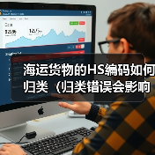 海运货物的HS编码如何归类(归类错误会影响清关吗)(图2) 海运货物的HS编码如何归类(归类错误会影响清关吗)(图2)